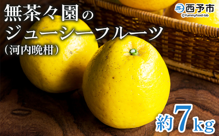  ＜無茶々園のジューシーフルーツ（河内晩柑）約7kg＞ フルーツ 果物 かわちばんかん みかん ミカン 蜜柑 柑橘 期間限定 季節限定 食べて応援 特産品 愛媛県 西予市 【常温】『2026年4月～6月中旬迄に順次出荷予定』AMC0022