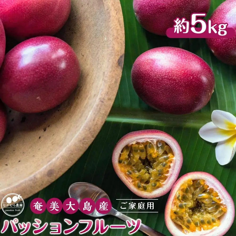 【先行受付】奄美大島産 パッションフルーツ ご家庭用5kg（41個以上）