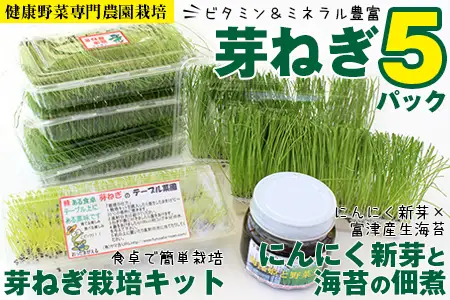 【農薬未使用・無添加】芽ねぎセット（5パック＆栽培キット＆にんにく新芽と海苔の佃煮）