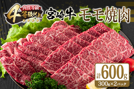 宮崎牛 モモ 焼肉 計600g 牛肉 ビーフ 黒毛和牛 赤身肉 国産 ブランド牛 おすすめ BBQ グランピング 鉄板焼き おもてなし ご褒美 お祝い 記念日 おすそ分け おかず おつまみ お弁当 お取り寄せ グルメ 4等級以上 A4ランク以上 冷凍 宮崎県 日南市 送料無料_CC67-25