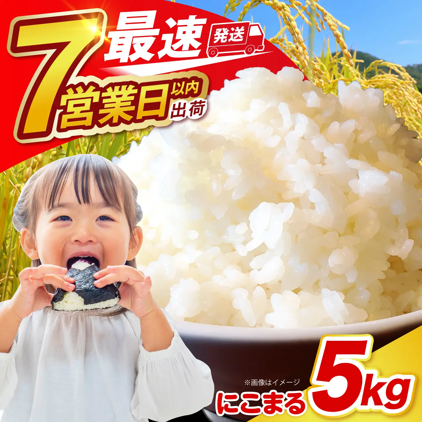 長崎県産 精米 にこまる 5kg / 南島原市 / 大松屋商店 [SDR001]