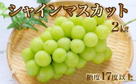 【8月下旬より発送】シャインマスカット2kg(3房)【700g以上】【糖度17度以上】