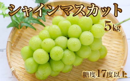 【8月下旬より発送】シャインマスカット5kg (6～7房)【700g以上】【糖度17度以上】