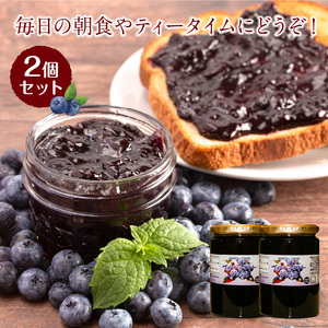 ブルーベリージャム2個セット _U126-0003