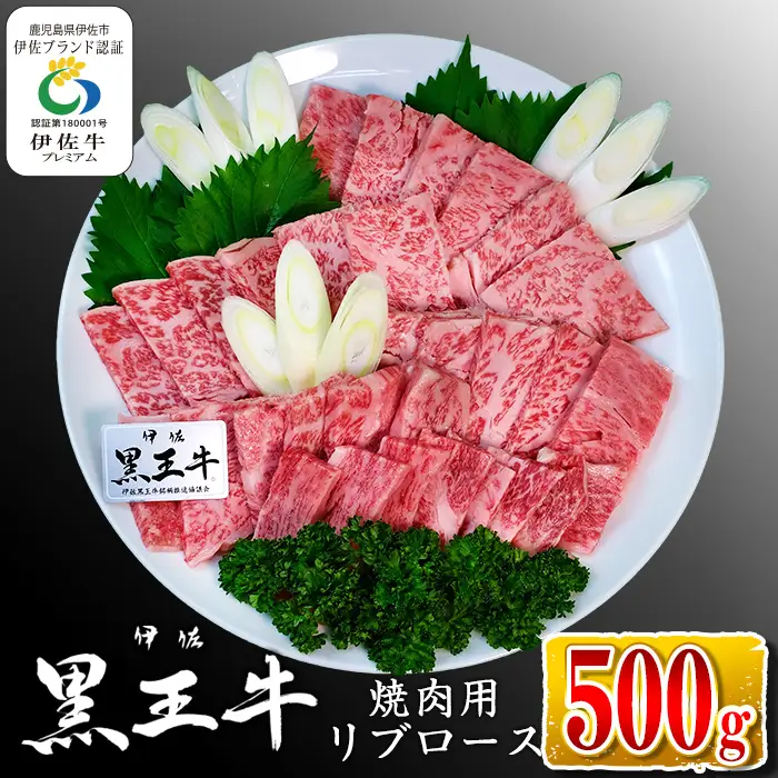isa336 鹿児島県産黒毛和牛 伊佐黒王牛リブロース焼肉用！(500g)ブランド牛 牛肉 国産 九州産 鹿児島県産 ロース 焼肉 和牛 ギフト 肉 贈り物 プレゼント BBQ【プラン・ビー】