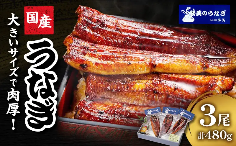 国産 うなぎ 勝美 蒲焼き 3尾 480g 浜名湖産 鰻 蒲焼 真空パック 冷凍 浜松