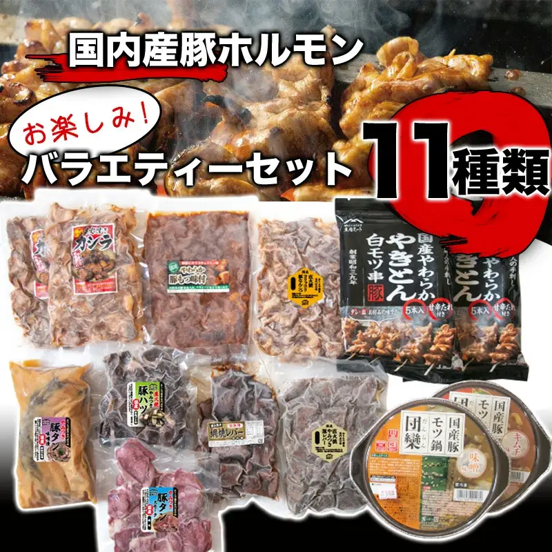 A73-301　ホルモン　お楽しみバラエティーセット　11種類入り　庄内ミート