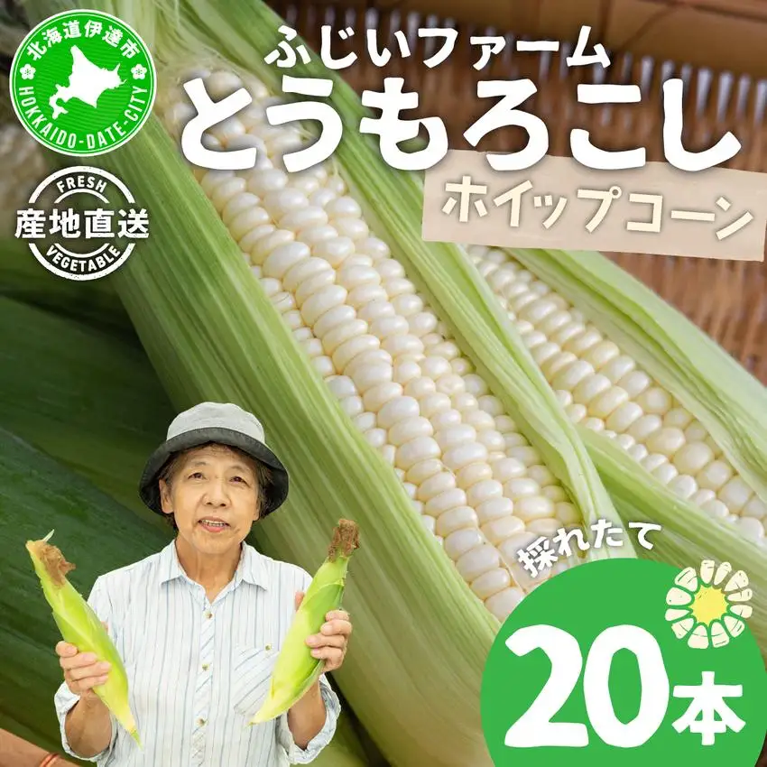 ＜先行予約＞北海道産 とうもろこし(ホイップコーン) Lサイズ 20本【55250485】