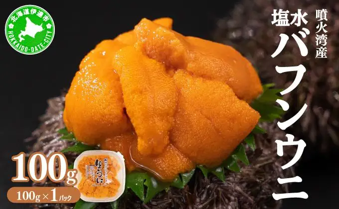 [5525-0661]北海道 噴火湾産 塩水 バフンウニ 100g 1パック うに ウニ 雲丹 海鮮 海の幸 魚介類 ウニ丼 お寿司 濃厚 無添加 産地直送 産直 お取り寄せ 山村水産 送料無料
