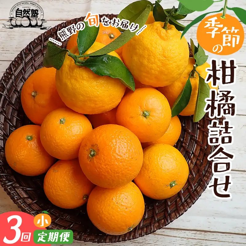 【3回定期便】みかん 柑橘詰合せ 3.5kg みかん【szjk-tkb0005】