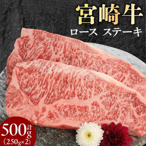 宮崎牛ロースステーキ 250g×2 計500g N0147-YB827
