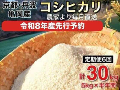 令和8年産【6回定期便】白米 コシヒカリ 5kg 精米 定期便