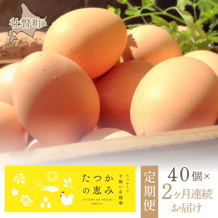 平飼い有精卵『たつかの恵み』40個×2ヶ月連続お届け SBTT001