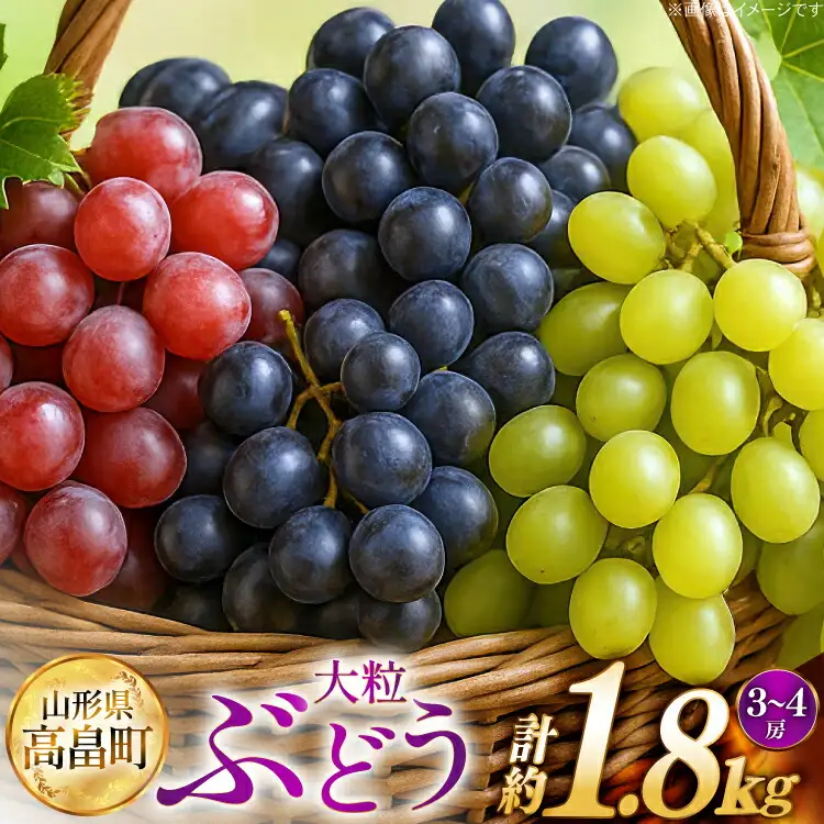 【期間限定発送】 ぶどう 2～3色 約 1.8kg 詰め合わせ セット [JA山形おきたま 山形県 高畠町 tk06ays870056]