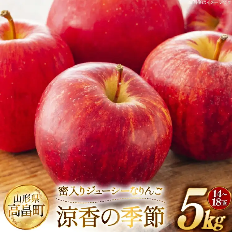 【期間限定発送】 りんご 高畠町産 涼香の季節 14～18玉 5kg [JA山形おきたま 山形県 高畠町 tk06ays870045]