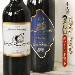 B03-203　庄内の『カベルネソーヴィニヨン』『メルロ』赤ワイン2本セット