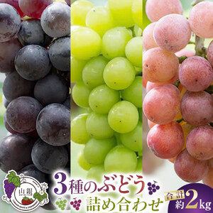 ぶどう 3種 詰め合わせ 約2kg ぶどう