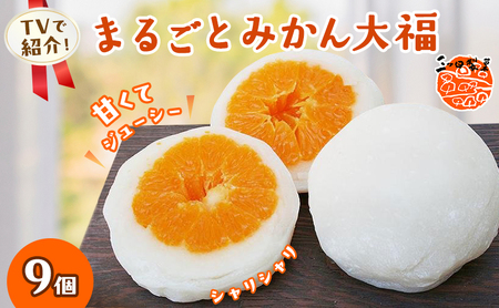 大福 まるごと みかん大福 詰め合わせ セット 三ヶ日みかん みかん フルーツ大福 母の日 和菓子 お菓子 菓子 スイーツ おやつ デザート まるごとみかん大福 フルーツ 取り寄せ お取り寄せ ご当地 ご当地グルメ 特産品 名産品 銘菓 冷凍 静岡県浜松市 浜松