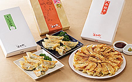 浜松餃子 GPセット 赤・しそ・桜えび 60個 詰め合わせ 餃子 国産 冷凍 ぎょうざ ギョーザ