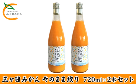 三ヶ日みかん そのまま絞り 2本セット（720ml×2本セット） みかん ジュース 100% 果物類 柑橘類 果実飲料 静岡 浜松市