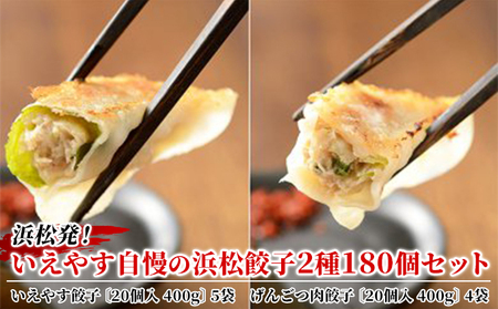 浜松発！いえやす自慢の 浜松餃子 2種180個セット（いえやす餃子 100個 げんこつ肉餃子 80個） 冷凍 ぎょうざ ギョーザ 