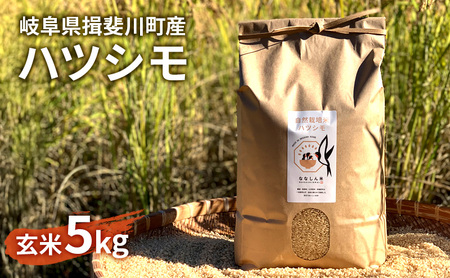 自然尊重で育てた安全な美味しい自然米ハツシモ（玄米）5kg お米 