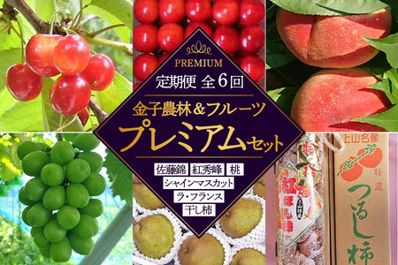 【定期便：全６回】金子農林＆フルーツプレミアムセット（さくらんぼ・桃・シャイン・西洋梨・干柿）　0015-2601
