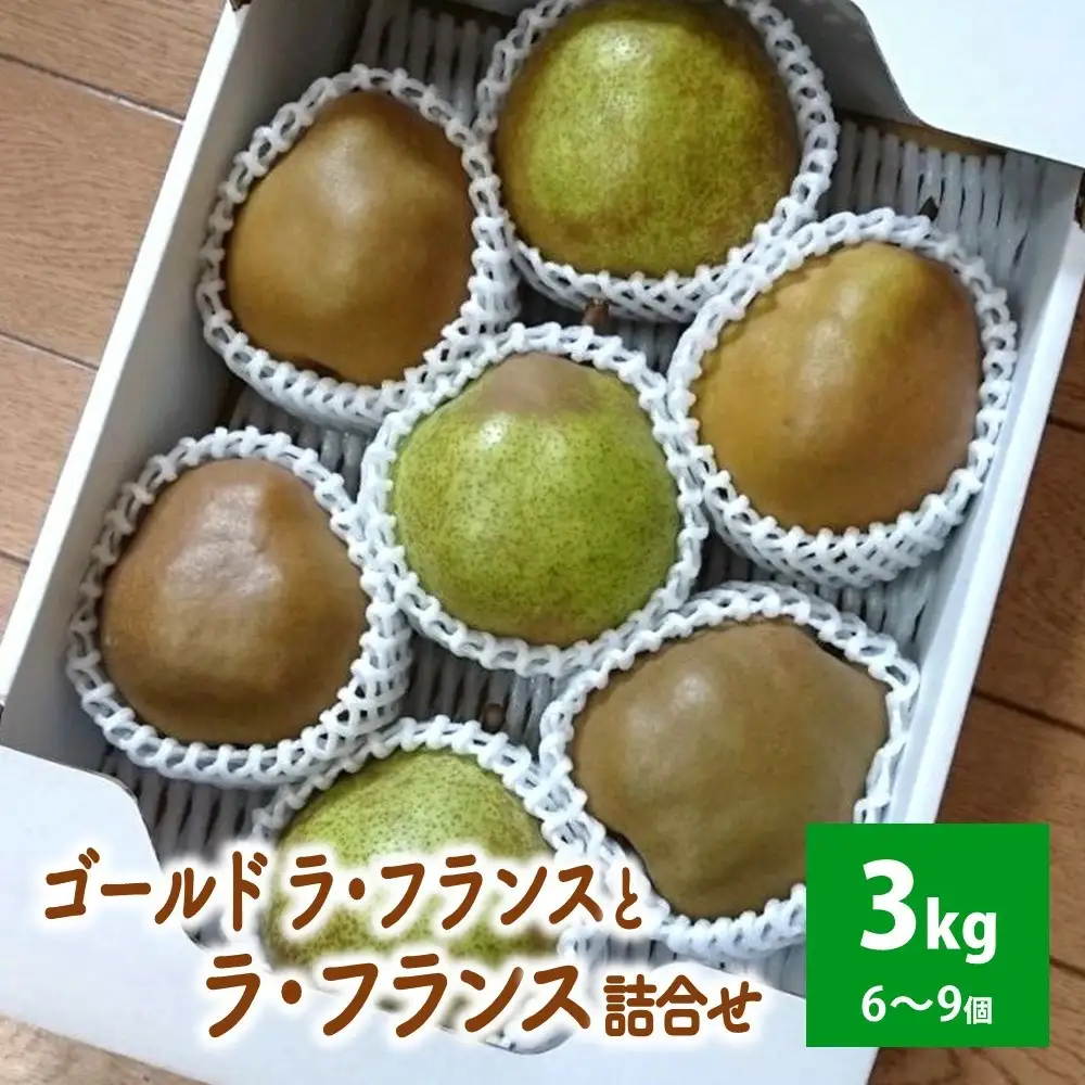 ゴールドラ・フランスとラ・フランス詰合せ　３ｋｇ　秀品　0096-2603