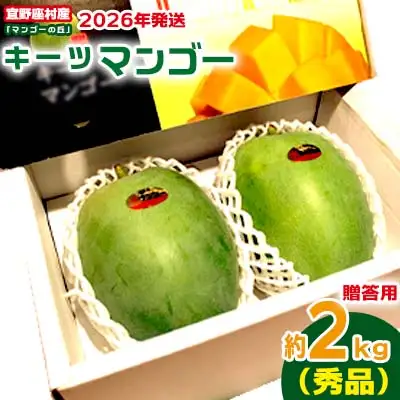【2026年発送】贈答用　宜野座村産キーツマンゴー「マンゴーの丘」秀品　約2kg フルーツ 甘い 美味しい 特徴 香り お取り寄せ Mango デザート 大きい 希少 贈り物 ビタミン おすすめ 贅沢 栄養価 国産 沖縄県 人気 産地直送 送料無料