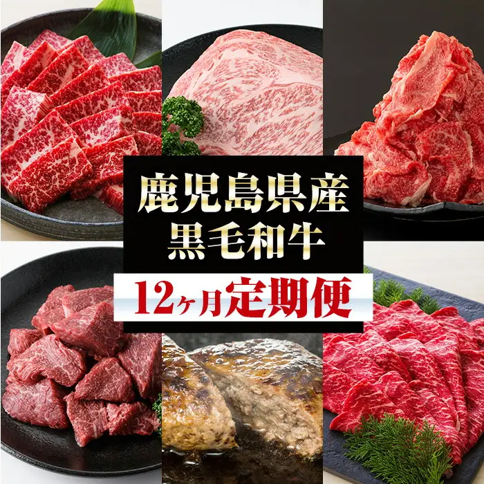 【12か月定期便】鹿児島県産 黒毛和牛 食べ尽くし セット 毎月、少しの贅沢をお届けします！【00-030-13-TK】