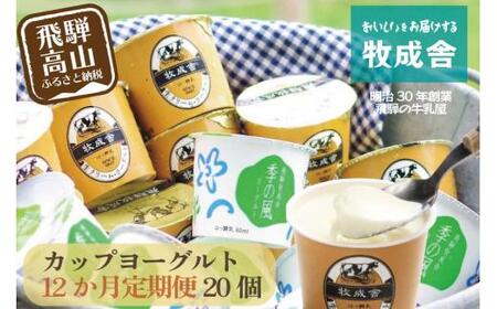 【定期便１２か月】飛騨のカップヨーグルト20個セット 1年定期 2種類 セット 各10個 ヨーグルト 乳製品 乳酸菌 腸活 定期便 毎月届く 季の風ヨーグルト （さっぱり爽やか） 生クリームヨーグルト （濃厚） 食べ比べ 牧成舎 DF110