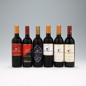 食の都庄内 月山ワイン ソレイユ・ルバン 6本セット 750ml 720ml 赤ワイン 辛口 ワイン 果実酒 ブドウ ぶどう 葡萄 山形