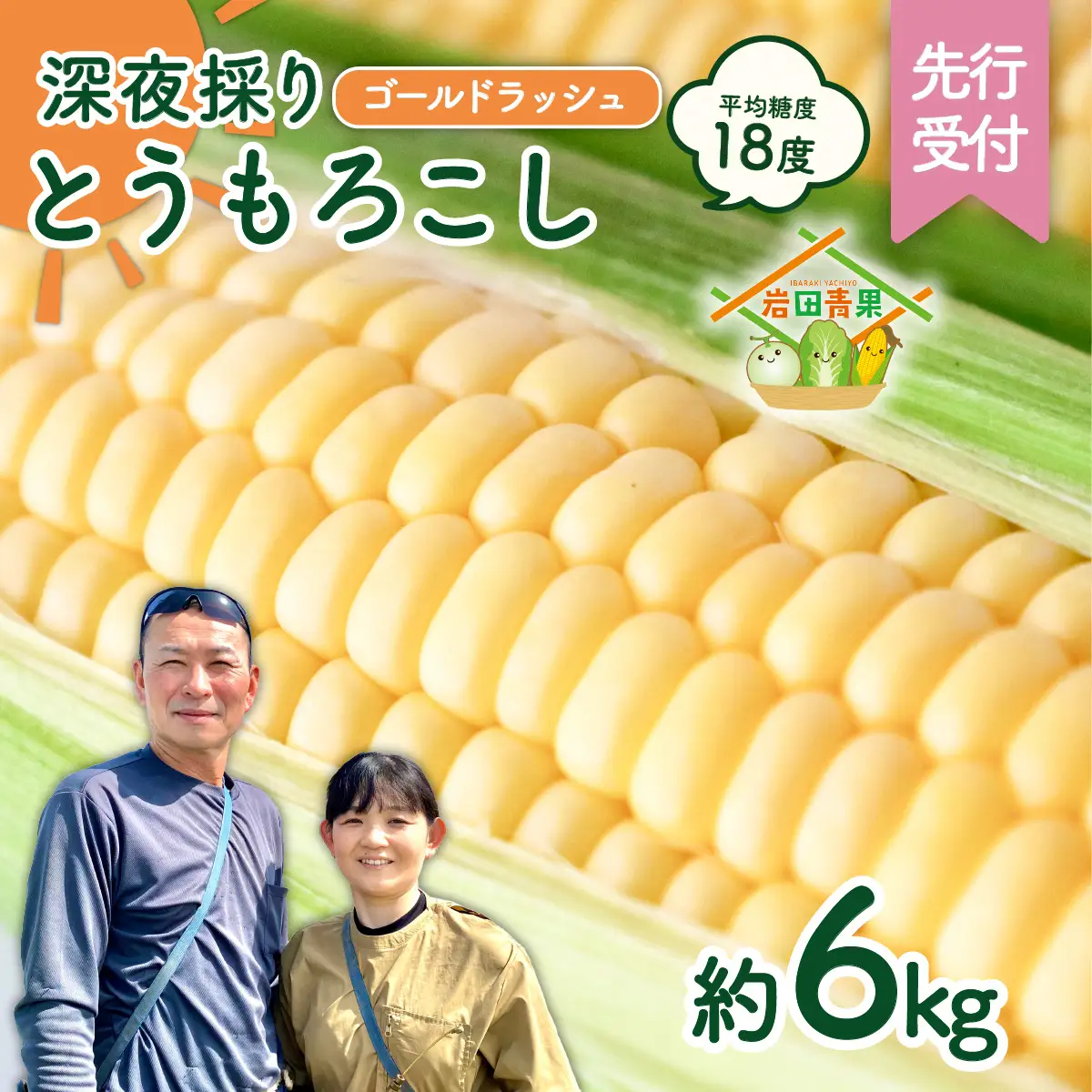 とうもろこし ゴールドラッシュ 6kg 茨城県産  トウモロコシ 深夜採り 朝出荷