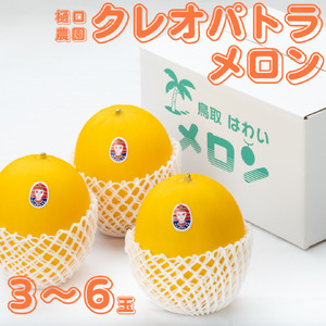 メロン 5kg 3玉 － 6玉 クレオパトラ 樋口農園 | 219M