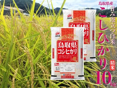 精米 10kg 白米 こしひかり 鳥取県産 令和7年産 | 44M