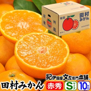 田村みかん/特選ギフト品10kg【Sサイズ】赤秀｜湯浅町田村地区産 産地直送 最高級プレミアムブランドの田村ミカン 紀伊国屋文左衛門本舗