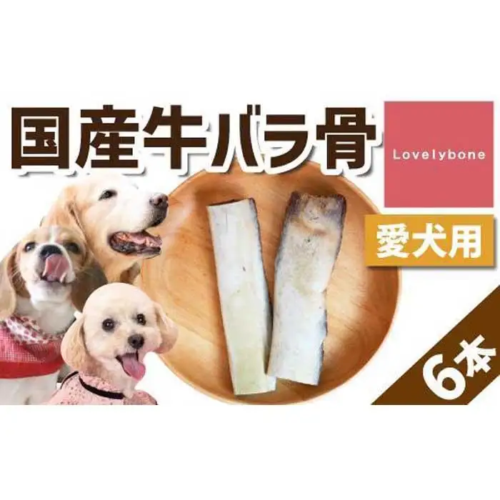 精肉店がこだわった【大中小型犬向けおやつ】国産牛バラ骨　2本×3