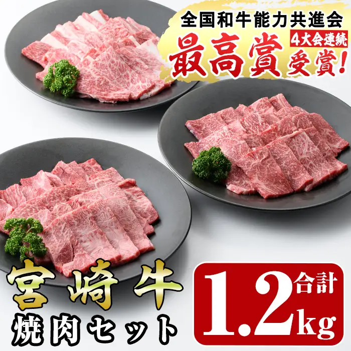 宮崎牛焼肉セット(合計1.2kg・ウデ焼肉400g、モモ焼肉400g、バラ焼肉400g)九州産 黒毛和牛  冷凍【R-55】【ミヤチク】