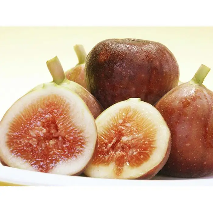 和歌山産 いちじく 秀品1.6kg(400g×4パック)