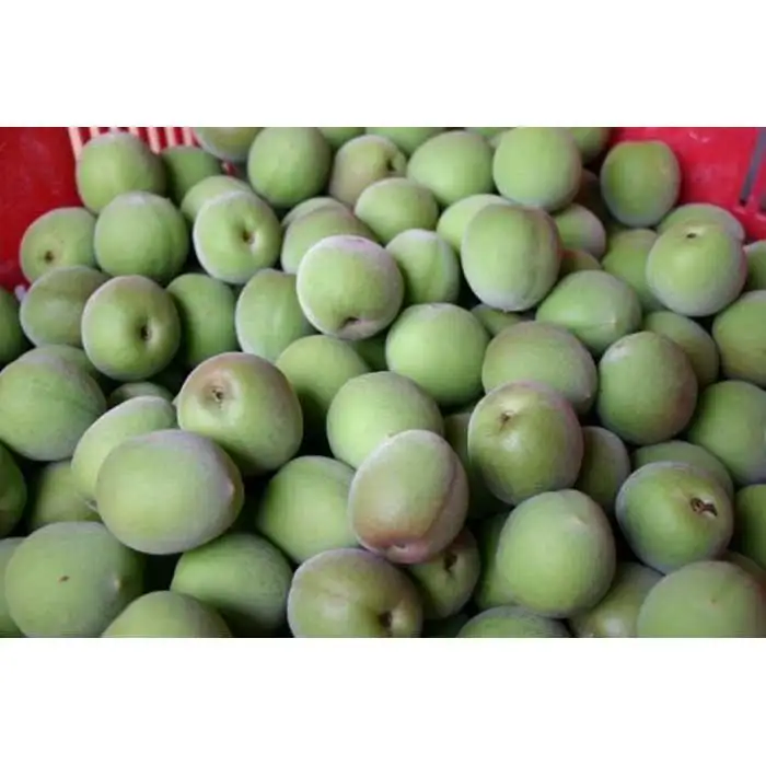 和歌山産 南高梅 青梅 秀品 5kg【ヤマタ大谷商店】