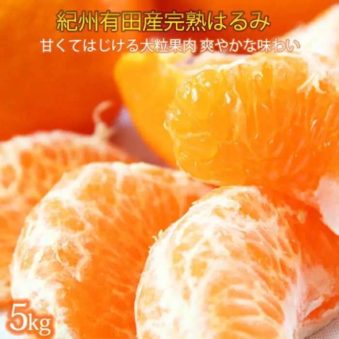 果肉ぷりぷり!完熟はるみ　５ｋｇ［2027年2月上旬頃～2027年2月下旬頃に順次発送］［UT22］