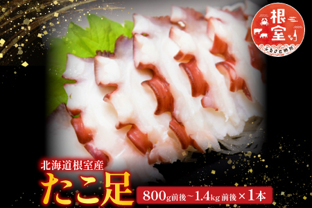 【北海道根室産】たこ足800g～1.4kg×1本 A-36051