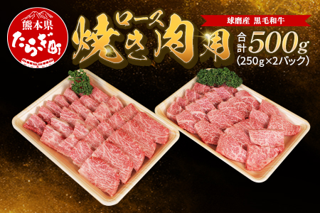 球磨産 黒毛和牛 ロース焼き肉用 500g（250g×2パック）スライス【人気 焼肉 牛肉 国産 多良木町】011-0065