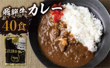 飛騨牛カレー（160ｇ×40袋）| 訳あり ご当地 ビーフカレー レトルト 人気 飛騨高山 ふるさと清見 DC009VC13