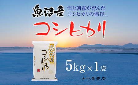 【厳選☆十日町育ち】魚沼産コシヒカリ 5kg お米 米 コメ 