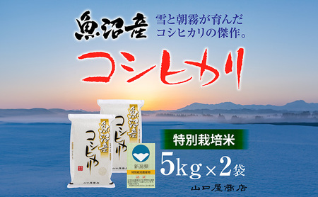 【厳選☆十日町育ち】“特別栽培米” 魚沼産コシヒカリ 5kg×2袋 お米 コメ 