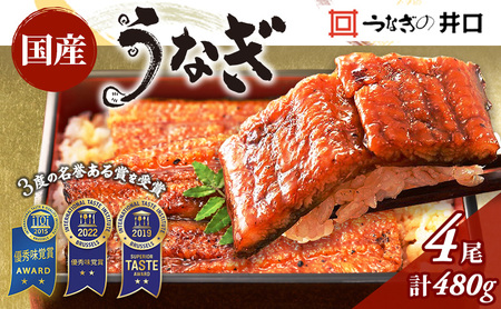 国産 うなぎ ITI3度受賞 長蒲焼き 4尾 480g 鰻 蒲焼 小分け 冷蔵 井口