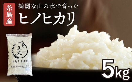 糸島産 ヒノヒカリ 5kg 糸島市 / 糸島王丸農園　( 谷口汰一 )【いとしまごころ】 [AAZ010]