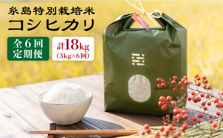 【 6回 定期便 】とくべつ の中の とくべつ 糸島 特別栽培米 3kg （ コシヒカリ ）《 糸島 》【株式会社やました】 [ARJ002]