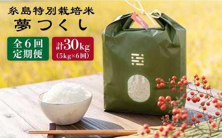 【 6回 定期便 】 とくべつ の中の とくべつ 糸島 特別栽培米 5kg （ 夢つくし ）《 糸島 》【株式会社やました】 [ARJ007]
